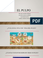 Exposicion - El Pulpo