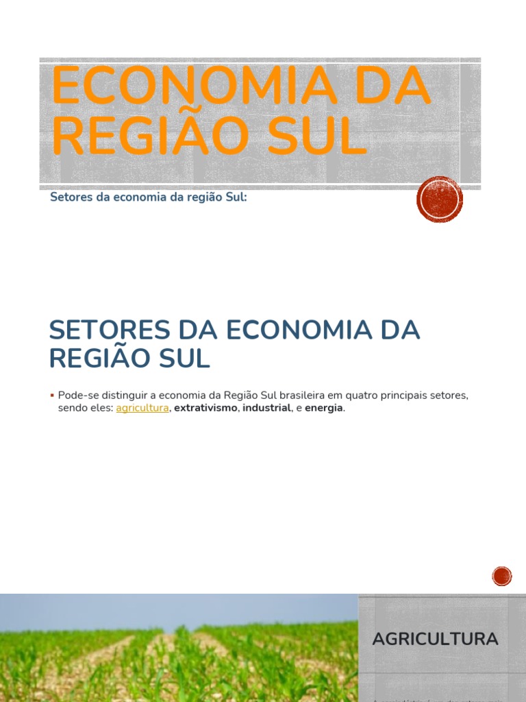 Economia Da Região Sul | PDF | Economias
