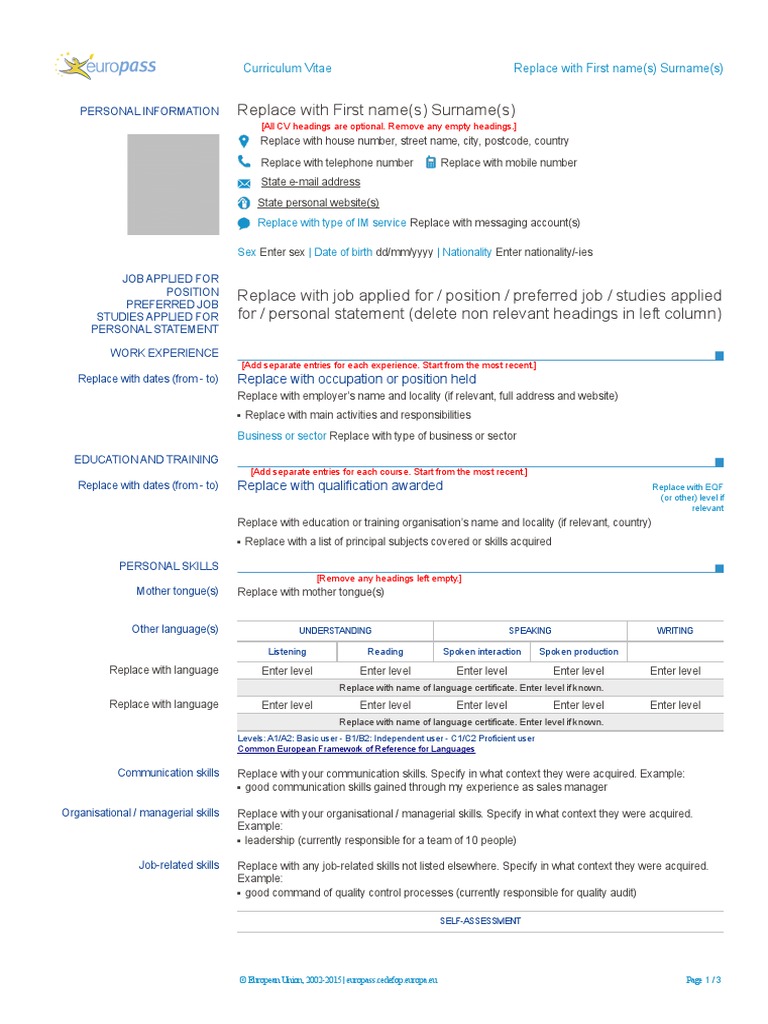 Standard CV 2 | PDF