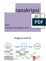 Transkripsi