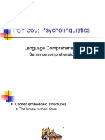 17 Psycholinguistics