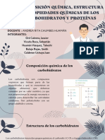 Composición Química, Estructura y Propiedades Químicas de Los Carbohidratos y Proteínas