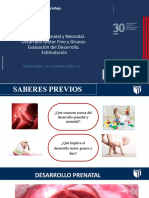 PPT  sesión 6