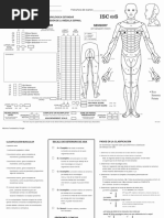 Escala ASIA para Lesiones Medulares | PDF | Médula espinal | Anatomía ...