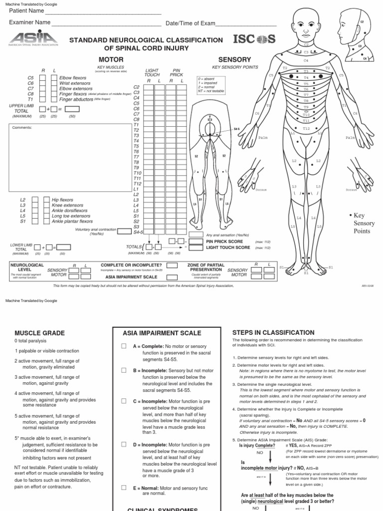 ASIA Classification of Spinal Injury | PDF | Spinal Cord Injury ...