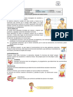 El Sistema Endocrino