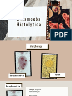 Morphology and Diagnosis of Entamoeba Histolytica