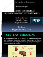 Sistema neuroendocrino y su relación con la conducta humana