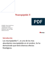 05 Neuropeptido Y