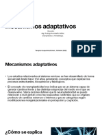 Mecanismos Adaptativos