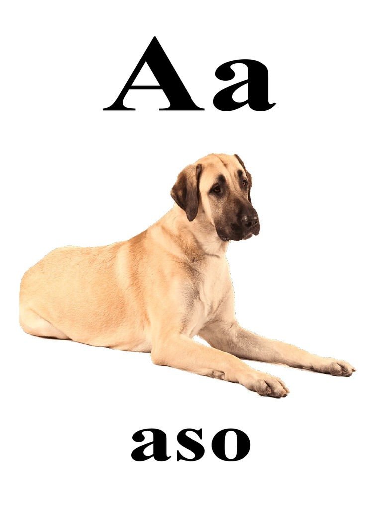 Alpabasa Song Lyrics and Chart | PDF