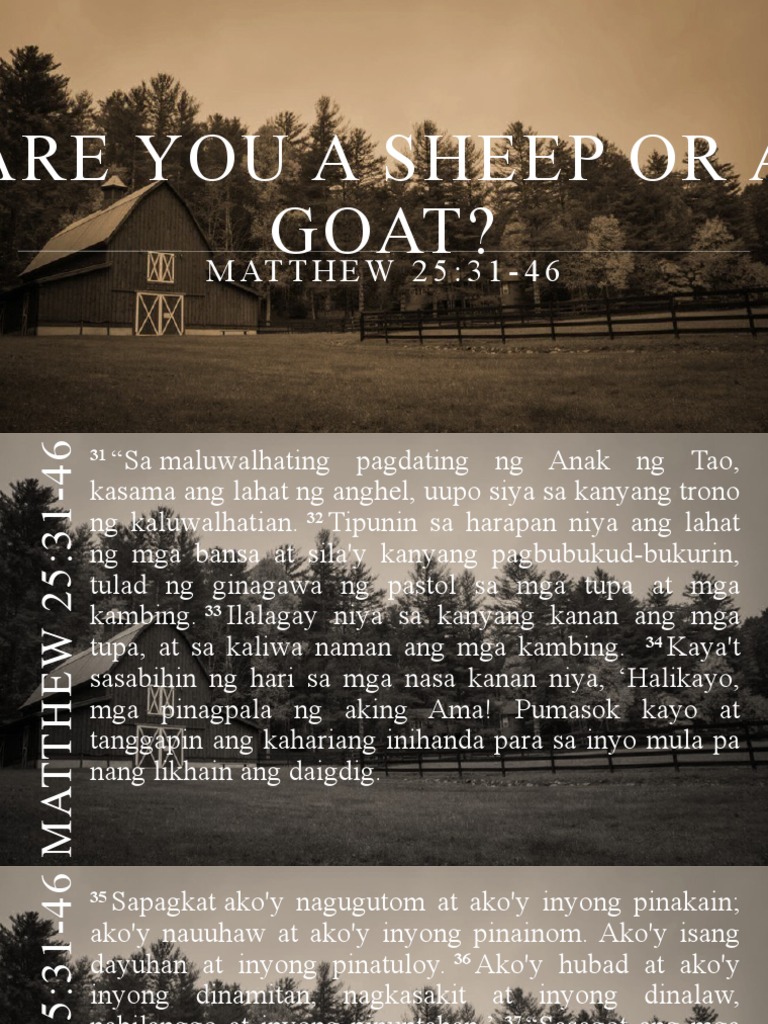 Is It A Sheep Or A Goat In The Chinese Zodiac