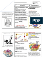 Ficha de Biologia 5º Año 2021