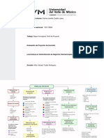 MAPA CONCEPTUAl