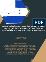 Estructura Legal en Materia de Gestion Ambiental en Honduras