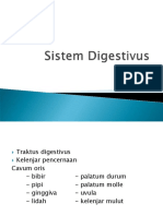 8b. Sistem Digestivus