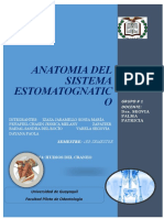 Anatomia Del Sistema Estomatognatico