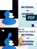 Maternal & Newborn 1