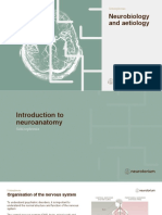 Schizophrenia Neurobiology and Aetiology