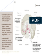 Schizophrenia Neurobiology and Aetiology (Slide 14)