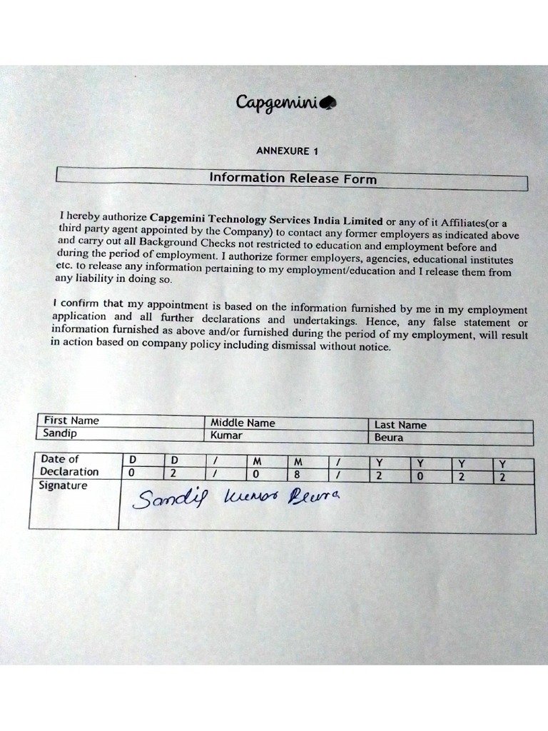 IRF Capgemini | PDF