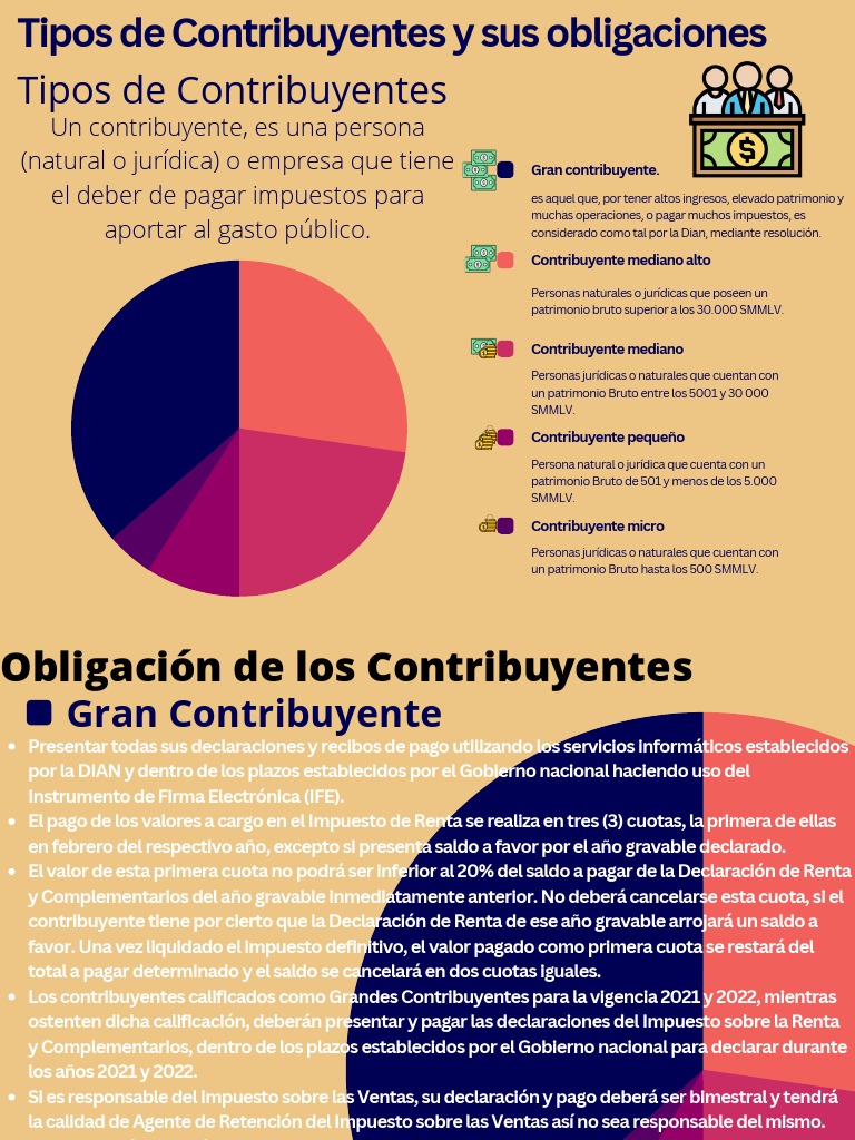 Tipos de Contribuyentes y Sus Obligaciones | PDF | Impuestos | Contabilidad