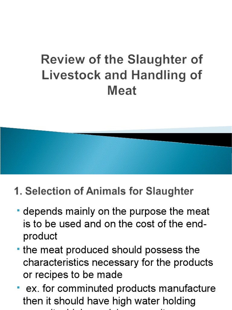 2.0 Review of Slaughter and Handling of Meat | PDF
