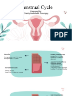 Menstrual Cycle