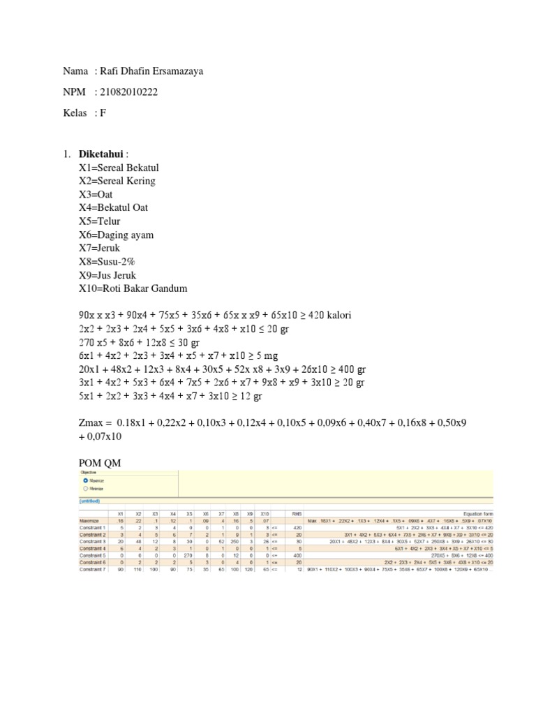 Optimization Problems Analysis | PDF
