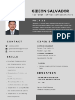 Modern Grey Resume 