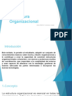 Estructura Organizacional