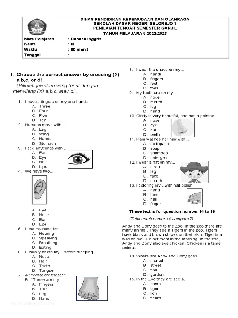 Soal PTS Kelas 3 Bahasa Inggris PDF Zebra Organisms