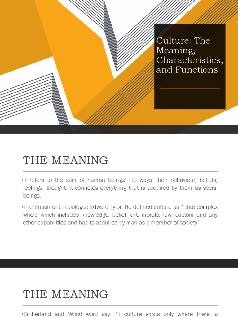 Culture Meaning Charateristics and Functions PDF Attitude