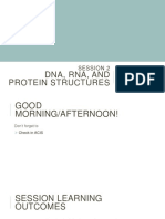 Session 2 DNA RNA Protein Structure - Pre-Class