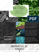 Bacteriile