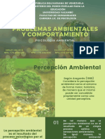 Psicologa Ambiental