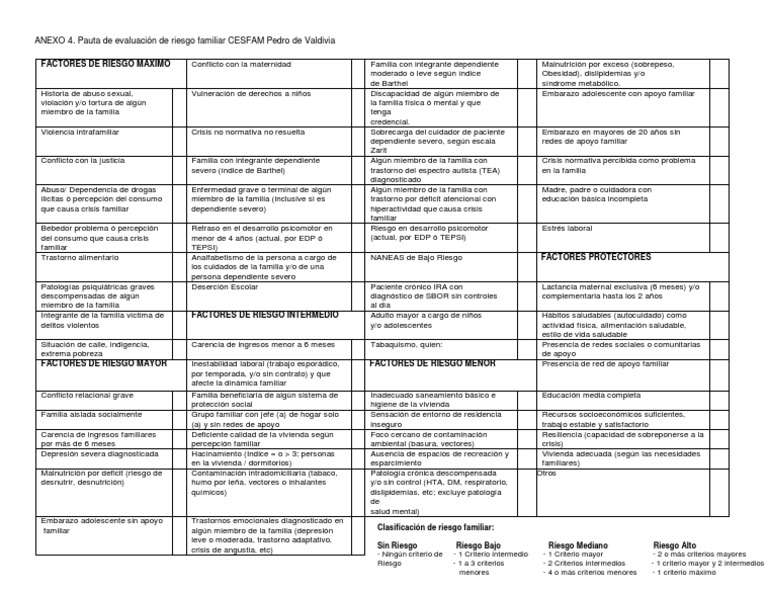 pauta-de-evaluaci-n-de-riesgo-pdf-desorden-hiperactivo-y-deficit