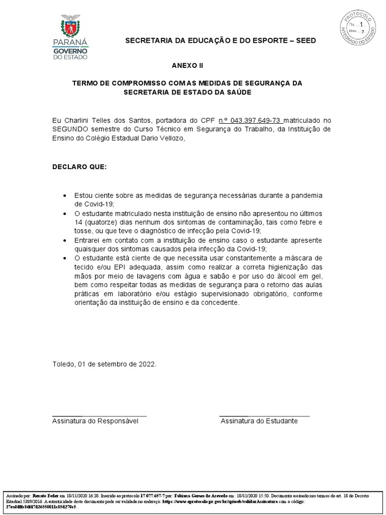Termo de Compromisso Com As Medidas de Segurança | PDF