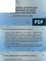 2.3 - Prezentare Plan de Afaceri - Alba