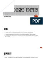 Metabolisme Protein