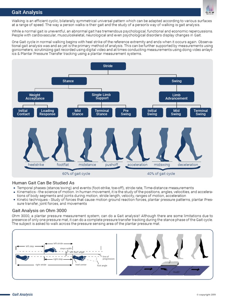 GAIT ANALYSIS 歩行分析 第2版 カテゴリー: Innovations - ALPS