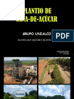 Plantio Da Cana de Acucar - Edson Belisario - Alcoolvale