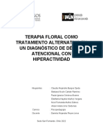 Informe de Terapia Floral