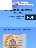 Los 11 Pasos de La Lactancia Materna