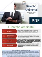 03 Definición y Caracteristicas Del Der. Amb.