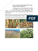 Productos Agrícolas Que Se Cosechan en La Zona de Puerto Plata