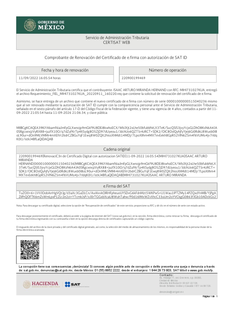 REVOCACION PDF ciberespacio Informática