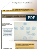 Exposicion de Organizacion de Los Departamento de Recurso Humano