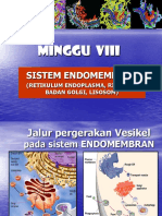 Sistem Endomembran