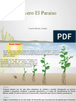 Vivero El Paraíso Proyecto Exp